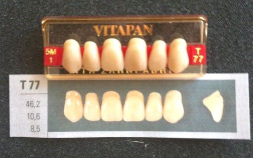 Vitapan Denture Teeth    T77    5M1
