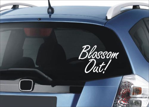 blossom out text car vinyl sticker decals truck window bumper decor #119