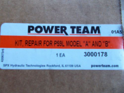 SPX POWER TEAM P59L HYDRAULIC HAND PUMP REPAIR KIT Pn.3000178 MODEL A or B