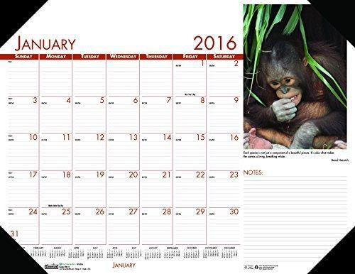 House of Doolittle 2016 Monthly Desk Pad Calendar, Earthscapes Wildlife, 22 x