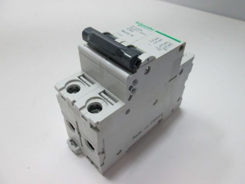 Schneider Electric 17443 Circuit Breaker, 2-Pole, Rating: 480Y/277VAC or 125VDC