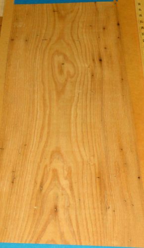 Wormy Chestnut wood veneer 11&#034; x 31&#034; raw no backing 1/32&#034; thickness &#034;A&#034; grade