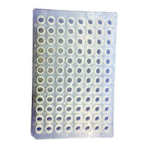 BIPEE 96-Well PCR Plate, Skirted PCR Tube Plates, Transparent White Plastic,