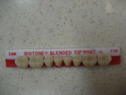Dentsply Trubyte BioTone 33° Lower Posterior Mould 34M / 77P Dental Teeth