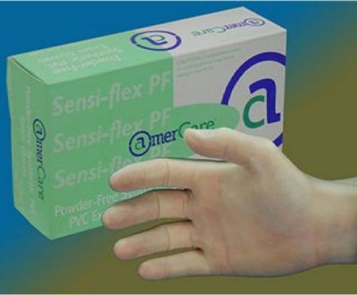 AmerCare Powder-Free Synthetic PVC Exam Gloves, Large, Cs of 1000, 500-3 |KD1|RL