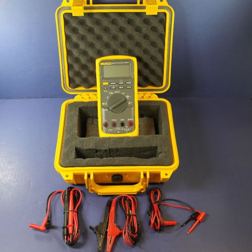 Fluke 87V True RMS Multimeter- New cond with accessories!! Waterproof hard case!