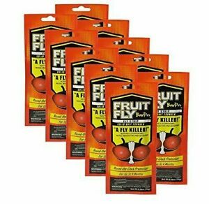 Fruit Fly BarPro Pack of 10 Fly Strip Kills for 4 Months Case