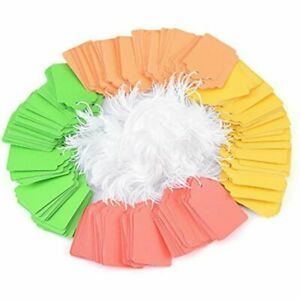 Brothersbox Marking Strung Tags, Colored Paper Assorted Neon With String, Price