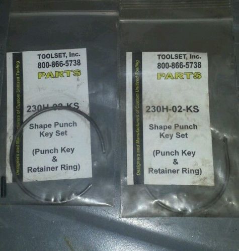 Shape Punch key set