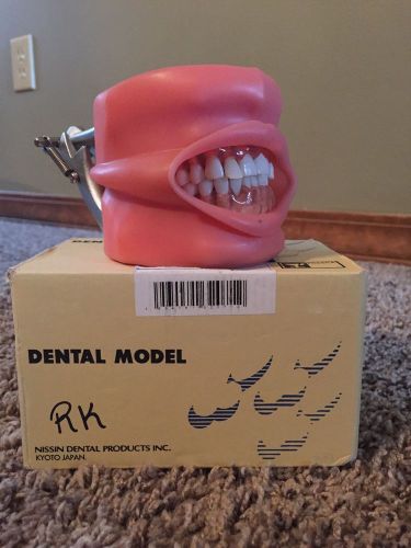 Dental typodont manufactured by Nissin Dental Products INC.