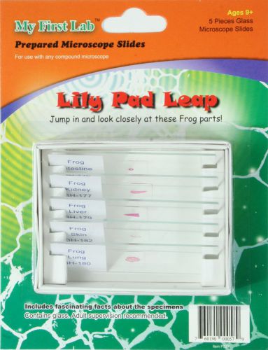 Prepared slides, set &#034;lily pad leap&#034;. dissect not. 5 slides of frog parts, yuck! for sale