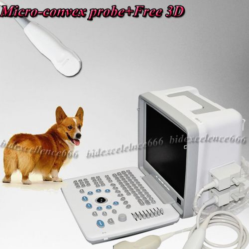 3d image veterinary digital ultrasound scanner +5.0mhz mini micro-convex  probe for sale