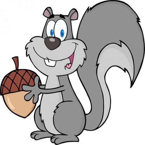 30 Custom Grey Squirrel Personalized Address Labels