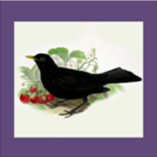 30 Custom Blackbird Personalized Address Labels