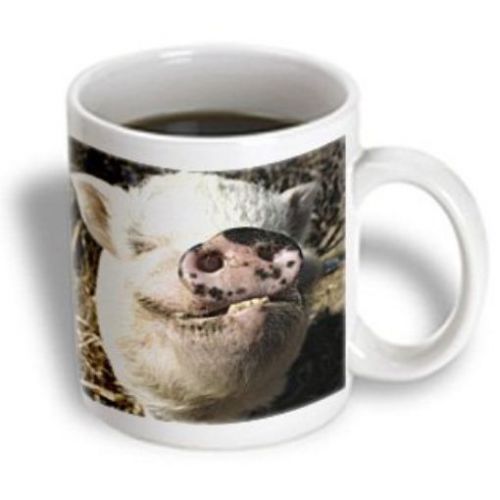 3dRose mug_92681_1 Pet Pot Bellied Pig  Farm Animal  New Mexico Us32 Jmr0497 Jul