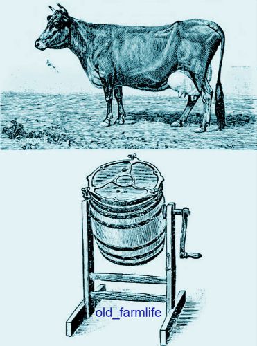 1888 Beginner Butter Making Dairy Farm Creamery CD