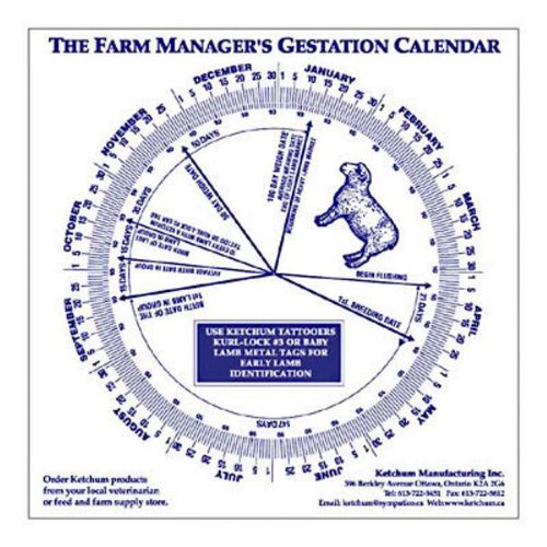 Sheep Gestation Calendar Calculate Birth Breeding NWT
