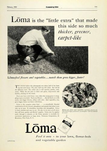 1931 Ad Loma Tennesse Corp Lawn Vegetable Garden Plant Food Broadway New COL2