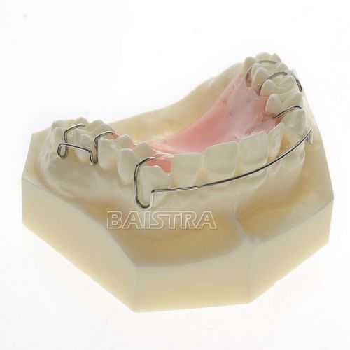 Dental Dentist Orthodontics Treatment Teeth Retainer Model #3007