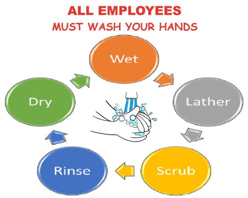 &#034;ALL EMPLOYEES MUST WASH YOUR HANDS&#034; - wall decal/vinyl, sign, poster 20&#039;&#039;x 16&#039;&#039;