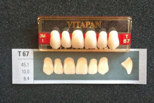 Vitapan Denture Teeth    T67     3M1
