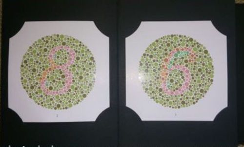 Ishihara-Color-Blindness-Book-38-Plates-Edition - Nice Indian Quality