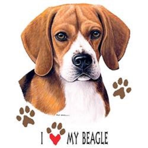 Love My Beagle Dog HEAT PRESS TRANSFER for T Shirt Sweatshirt Quilt Fabric 810d