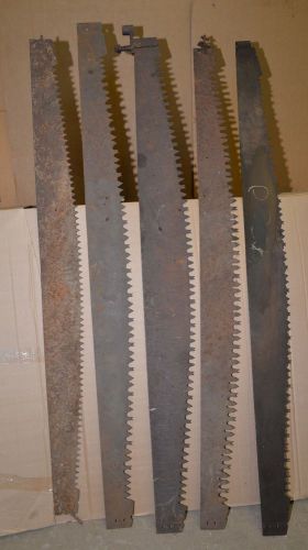 5 antique 2 man logging saws collectible Adirondack tool lot blacksmith steel