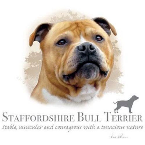 Staffordshire Bull Terrier Dog HEAT PRESS TRANSFER for T Shirt Sweatshirt 912b