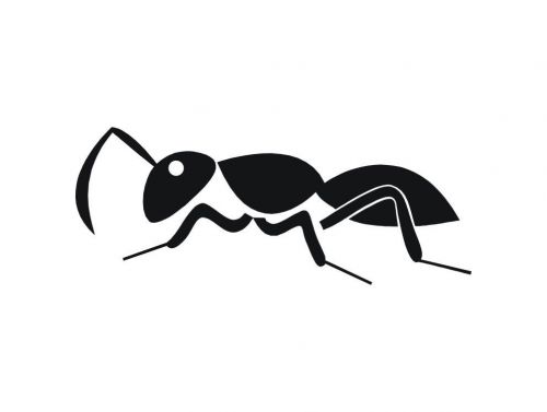 Ant Walking Car Window Truck/Van Tempo Sticker Vinyl Decals-1835