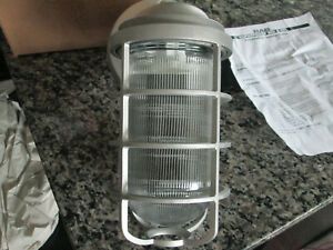 RAB VAPORPROOF OUTDOOR LIGHTING FIXTURE W/GLASS GLOBE &amp; ALUMINUM CAGE - NIB