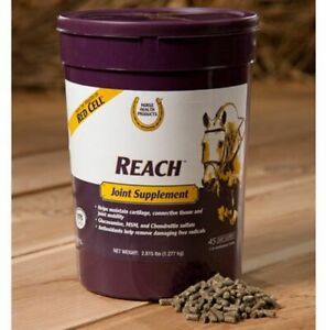 Reach Joint Equine Supplement 2.815 Pounds Horse Pellets Glucosamine MSM