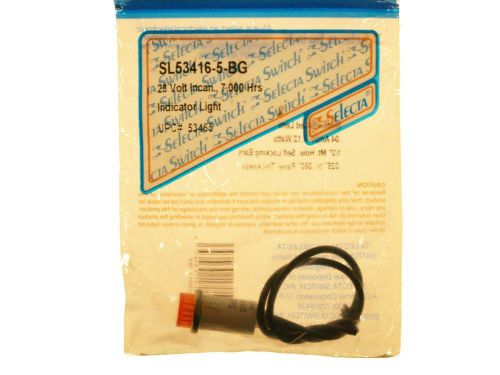 Selecta Switch SL53416-5-BG  Light Neon 1/2 O.D.Raised Amber Lens 28 V AC or DC