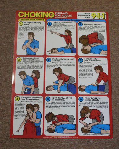 Laminated Poster Chocking First Aid for Adults Bruce Algra