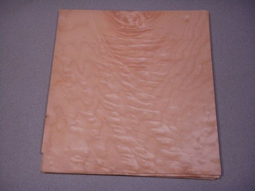 Western figured maple veneer wood 12 1/2&#039;&#039; w x 10 3/4 &#039;&#039;l x 1/32&#039;&#039; thick 17piece for sale