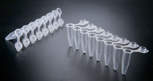 8-Strip PCR tubes with Individual Caps (0.2ml, flat caps, 120 Strips)