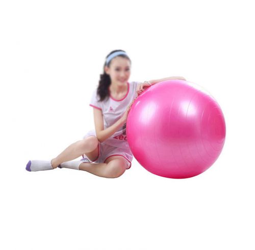 65cm Balance Stability Anti-Burst Ball for Yoga Fitness&amp; Exercise Ball + Air Pum