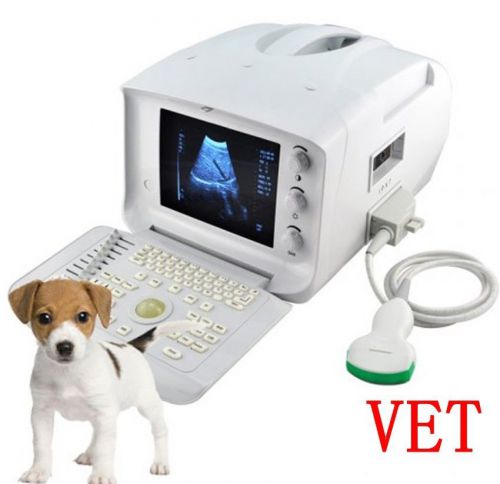 Veterinary/animals portable ultrasound scanner +convex probe for vet, usb port for sale