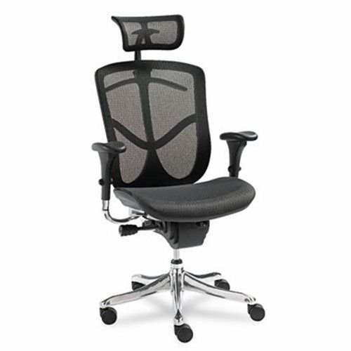 Alera Ergonomic Multifunction Mesh Chair, Aluminum Base (ALEEQA41ME10A)