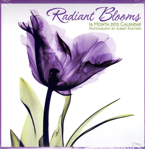 2015 16 Month RADIANT BLOOMS by ALBERT KOETSIER 12x12 Flowers Wall Calendar NEW