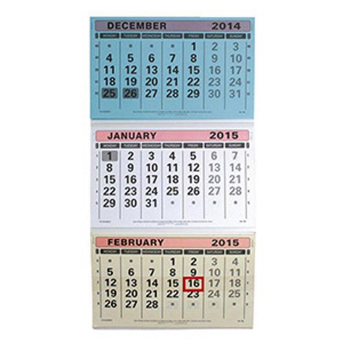 At-a-Glance 2015 3 Month to View Tear Off Calendar TML