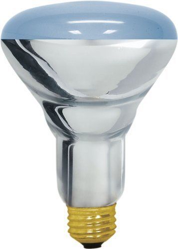 GE Reveal Halogen 75414 65-Watt  485-Lumen R30 Floodlight Bulb with Medium Base