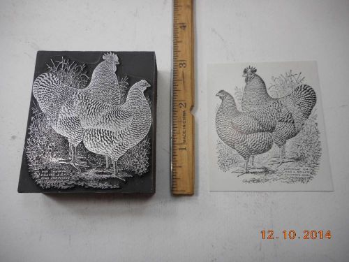 Letterpress Printing Printers Block, Chicken Barred Rock Bantam Rooster &amp; Hen