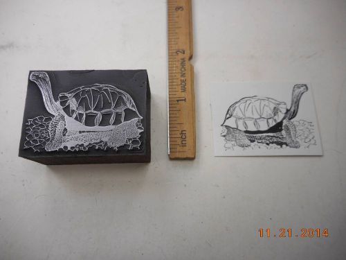 Letterpress Printing Printers Block, Turtle Tortoise sticks Neck Out