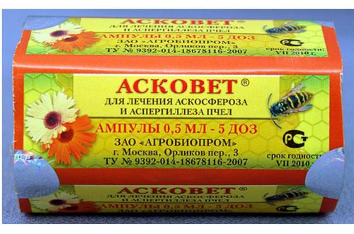 Askovet for the treatment and prevention of aspergillosis askosferoza and bees