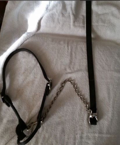 Weaver Leather Cattle Show Halter