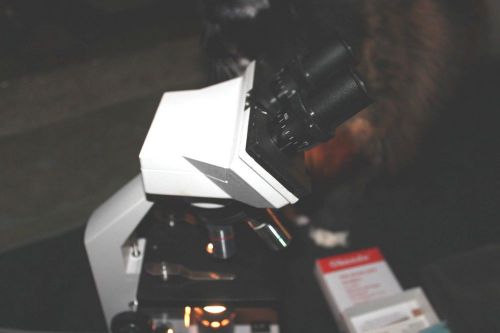 AmScope Binocular Biological Microscope M Series BM-100FL StereoScope