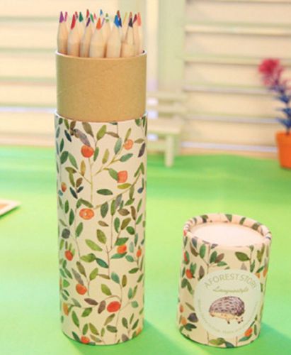 Stripe Pastel Animal w/t Box Hedgehogs Paint Gift Set Drawing Pencils 24 Colors