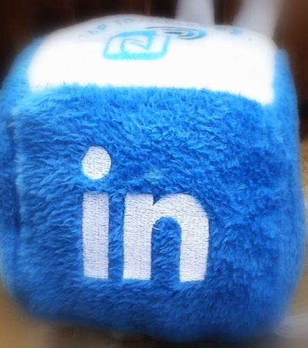 LinkedIn Cube plush toy ,popular social networking site item (NFC included)