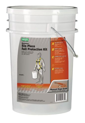 Msa safety works 10095901 fall protection kit (bucket, harness, rope grab, roof) for sale